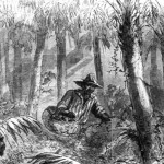 runaway slave in swamp